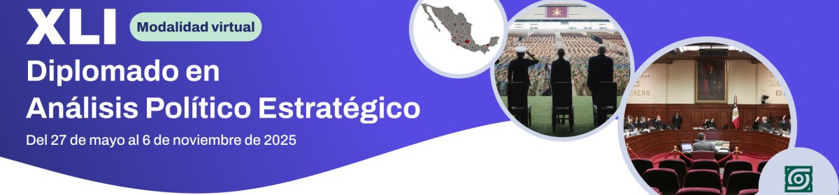 División de Estudios Políticos CIDE